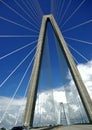 Arthur Ravenel Bridge 3