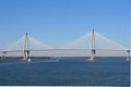 Arthur Ravenel Bridge in Charleston Royalty Free Stock Photo