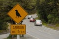 leaving the kea zone at Arhtur`s Pass Royalty Free Stock Photo