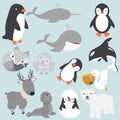 Artic animals cartoon collection big set