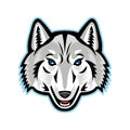 Artic Wolf Head Front Mascot Royalty Free Stock Photo