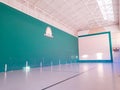 Artica, Navarra, Spain; 22 March 2019; Fronton of basque ball of the council of Artica where to play to the ball