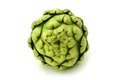 Artichoke