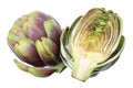 Artichoke