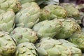 Artichoke background. Asparagus family, market stock photography