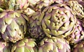 Artichoke background