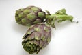 Artichoke (Carciofi) Royalty Free Stock Photo