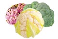 Artichoke, cauliflower and broccoli isolated on white Royalty Free Stock Photo