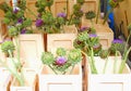 Artichoke flower bouquets boxes, market Jordaan, Amsterdam