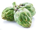 Artichoke flower edible bud isolated on white background Royalty Free Stock Photo