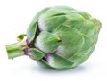 Artichoke flower edible bud isolated on white background Royalty Free Stock Photo