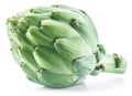 Artichoke flower edible bud isolated on white background Royalty Free Stock Photo