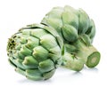 Artichoke flower edible buds isolated on white background Royalty Free Stock Photo