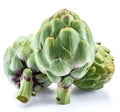 Artichoke flower edible buds isolated on white background Royalty Free Stock Photo