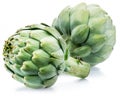 Artichoke flower edible buds isolated on white background Royalty Free Stock Photo