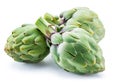Artichoke flower edible buds isolated on white background Royalty Free Stock Photo