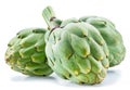 Artichoke flower edible buds isolated on white background Royalty Free Stock Photo