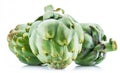 Artichoke flower edible buds isolated on white background Royalty Free Stock Photo