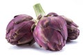 Artichoke flower, purple edible bud isolated on white background Royalty Free Stock Photo