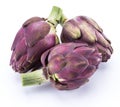 Artichoke flower, purple edible bud isolated on white background Royalty Free Stock Photo