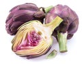 Artichoke flower, purple edible bud isolated on white background Royalty Free Stock Photo