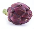 Artichoke flower, purple edible bud isolated on white background Royalty Free Stock Photo