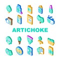 artichoke food vegetable fresh icons set vector