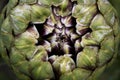 Artichoke fractal Royalty Free Stock Photo