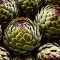 Artichoke fresh raw organic vegetable