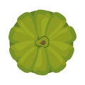 Artichoke fresh vegetable nature icon