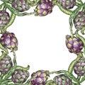 Artichoke fresh vegetable pimpled cone, frame, banner natural healthy food. Watercolor hand drawing, organic vegetables