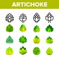 Artichoke, Gourmet Cuisine Vector Linear Icons Set