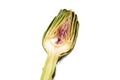 Artichoke - Green Artichoke `Carciofo` Cut Open On White Background Royalty Free Stock Photo