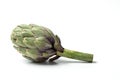Artichoke - Green Artichoke `Carciofo` On White Background Royalty Free Stock Photo