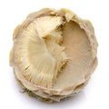 Artichoke heart Royalty Free Stock Photo