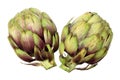 Artichoke