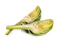 Artichoke isolated on the white background Royalty Free Stock Photo