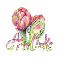 Artichoke. Sketch of vegetables with colored pencils on a white background and the inscription \