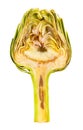 Artichoke Royalty Free Stock Photo