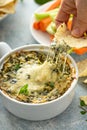 Artichoke spinach dip Royalty Free Stock Photo