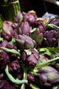 Artichoke Royalty Free Stock Photo