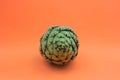 An artichoke viewed from the front on an orange background