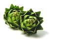 Artichokes Royalty Free Stock Photo