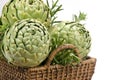 Artichokes in Basket - horizontal