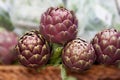 Artichokes Cynara scolymus placed on a market stall Royalty Free Stock Photo