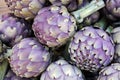 Artichokes at the greengrocer Royalty Free Stock Photo