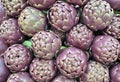 Artichokes of Roma, Italy Royalty Free Stock Photo