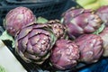 Artichokes Roman Product Italy Royalty Free Stock Photo