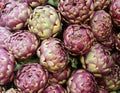 artichokes on sale in the greengrocer stall at the market