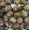 artichokes for sale at the local fruit and vegetable market Royalty Free Stock Photo